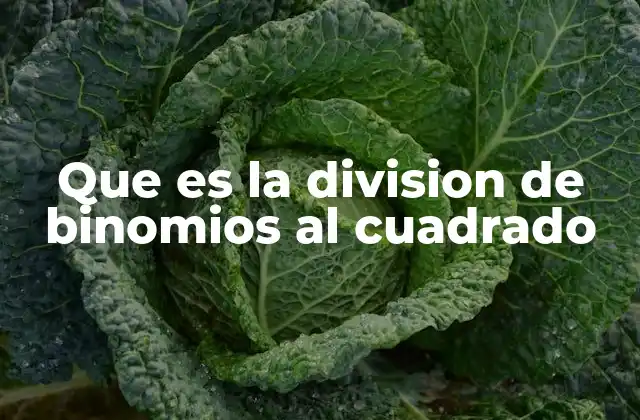 Que es la Division de Binomios Al Cuadrado