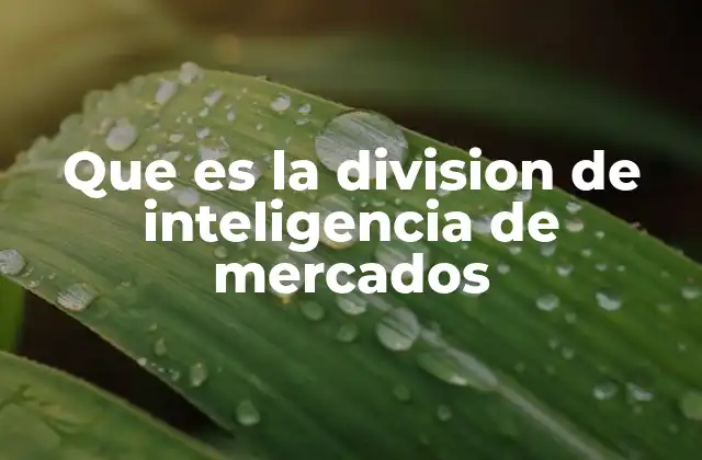 Que es la Division de Inteligencia de Mercados