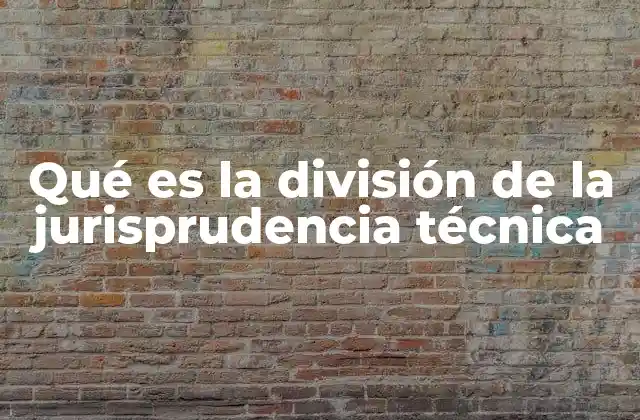 Qué es la División de la Jurisprudencia Técnica