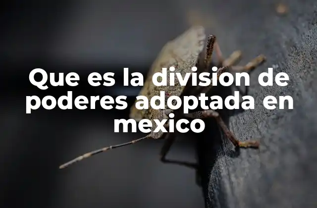 Que es la Division de Poderes Adoptada en Mexico