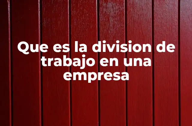 Que es la Division de Trabajo en una Empresa