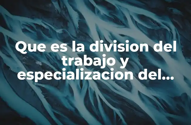 El impacto de la organización laboral en la eficiencia
