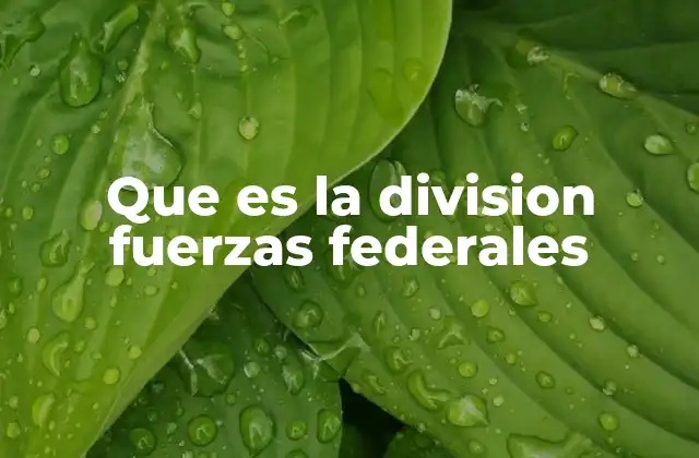 Que es la Division Fuerzas Federales