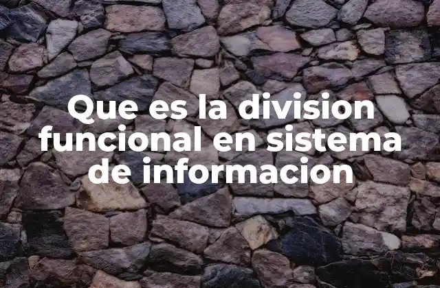 Que es la Division Funcional en Sistema de Informacion