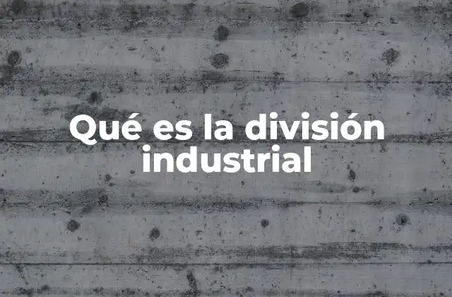 Qué es la División Industrial