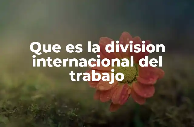 Que es la Division Internacional Del Trabajo