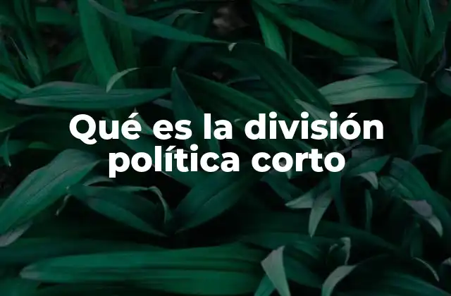 Qué es la División Política Corto