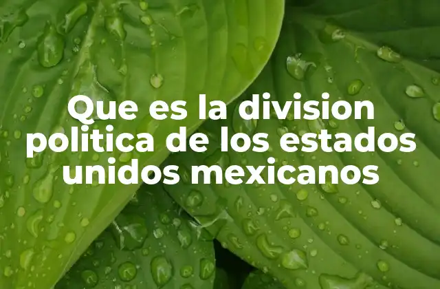 Que es la Division Politica de los Estados Unidos Mexicanos