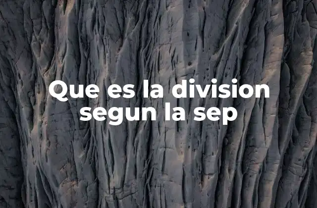 Que es la Division Segun la Sep