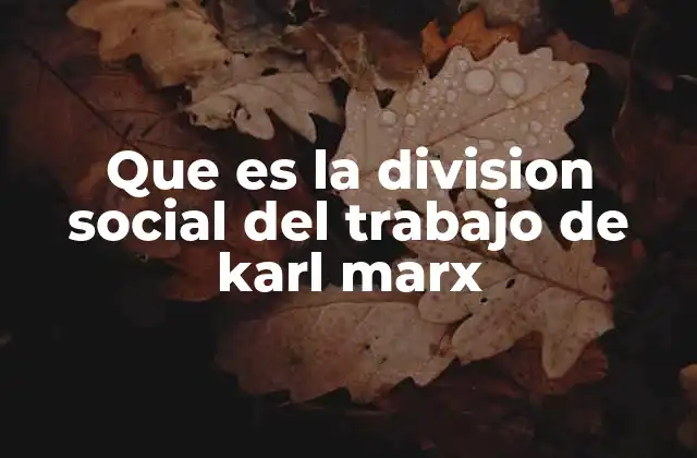 Que es la Division Social Del Trabajo de Karl Marx