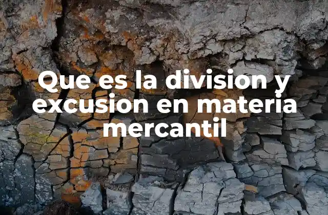 Que es la Division y Excusion en Materia Mercantil