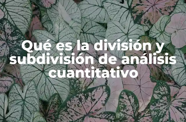 Qué es la División y Subdivisión de Análisis Cuantitativo