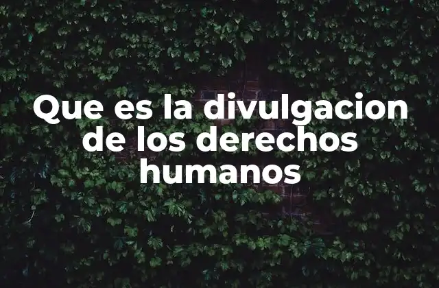 Que es la Divulgacion de los Derechos Humanos 2 El impacto de la educación en la promoción de los derechos humanos
