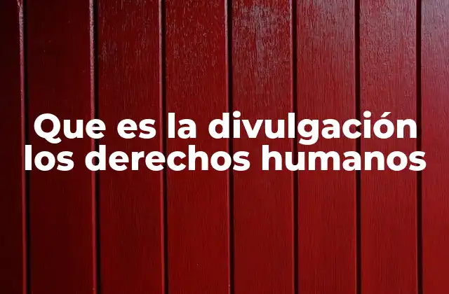 Que es la Divulgación los Derechos Humanos