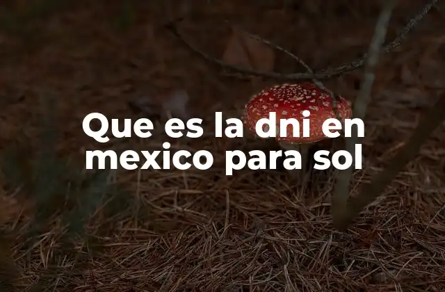 Que es la Dni en Mexico para Sol