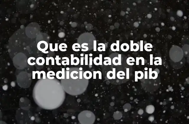 Que es la Doble Contabilidad en la Medicion Del Pib