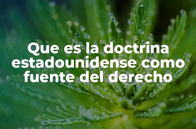 Que es la Doctrina Estadounidense como Fuente Del Derecho