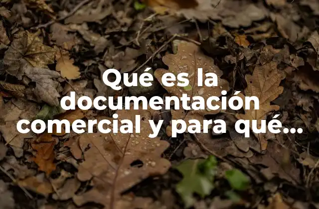 Qué es la Documentación Comercial y para Qué Sirve