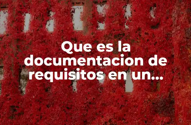 Que es la Documentacion de Requisitos en un Proyecto