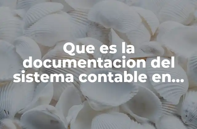 Que es la Documentacion Del Sistema Contable en Auditoria 2 La importancia de comprender el sistema contable antes de una auditoría