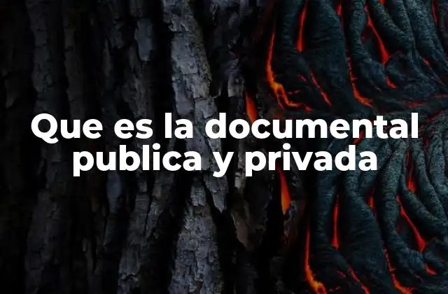 Que es la Documental Publica y Privada