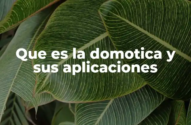 Que es la Domotica y Sus Aplicaciones