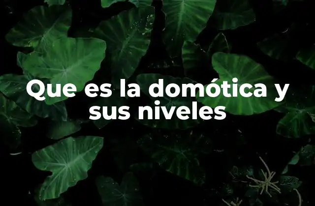 Que es la Domótica y Sus Niveles