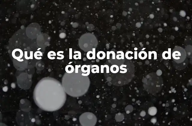 Qué es la Donación de Órganos 2 La importancia de la solidaridad en la donación de órganos