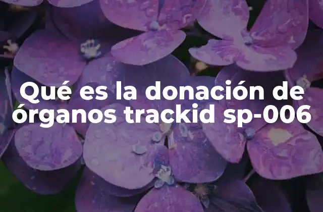 La importancia de la donación de órganos