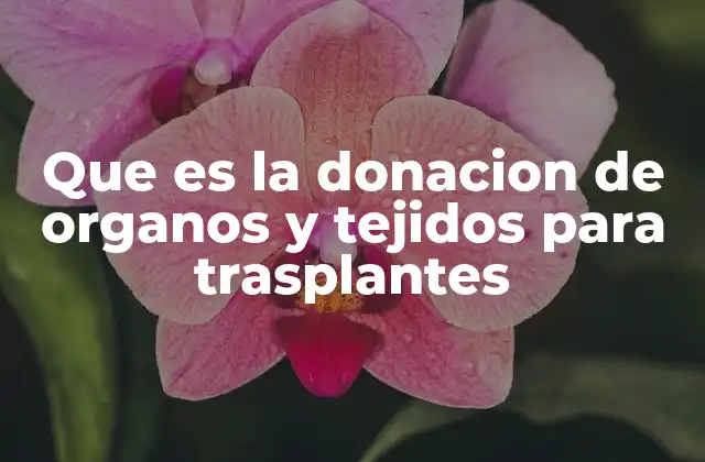 Que es la Donacion de Organos y Tejidos para Trasplantes