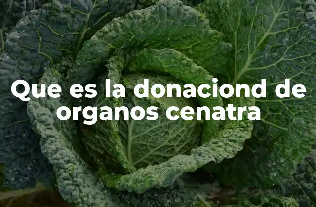 Que es la Donaciond de Organos Cenatra