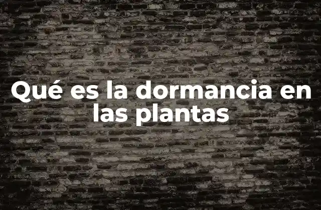Qué es la Dormancia en las Plantas