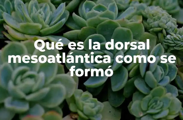 Qué es la Dorsal Mesoatlántica como Se Formó