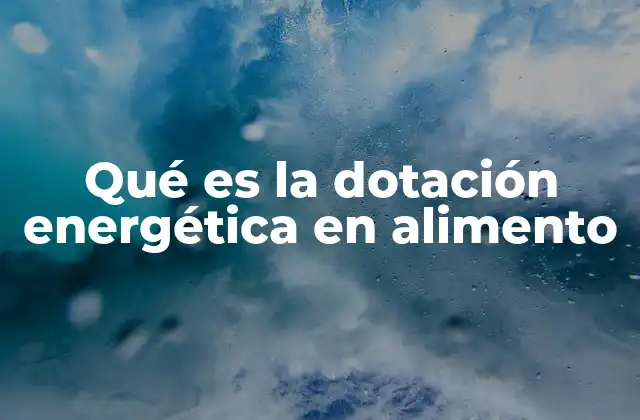 Qué es la Dotación Energética en Alimento