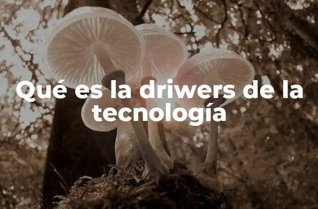 Qué es la Driwers de la Tecnología