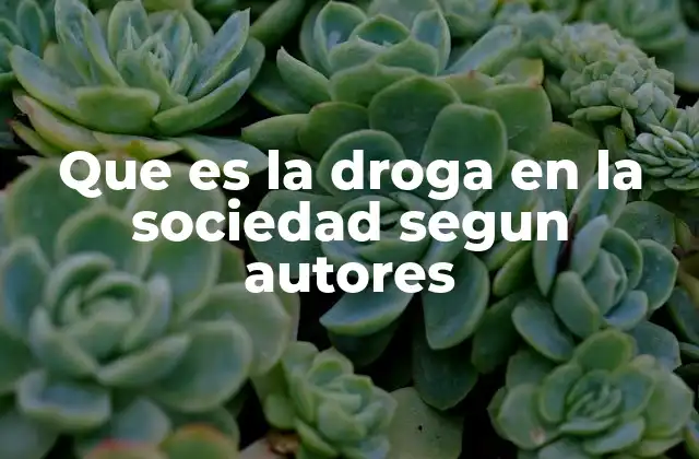 Que es la Droga en la Sociedad Segun Autores