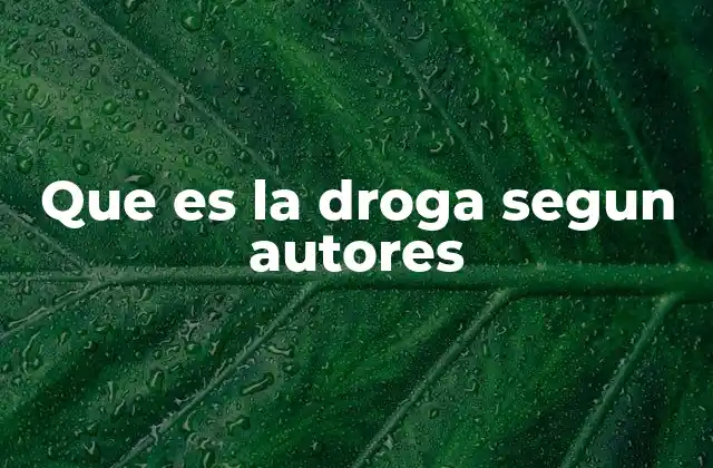 Que es la Droga Segun Autores 2 La droga desde una perspectiva interdisciplinaria