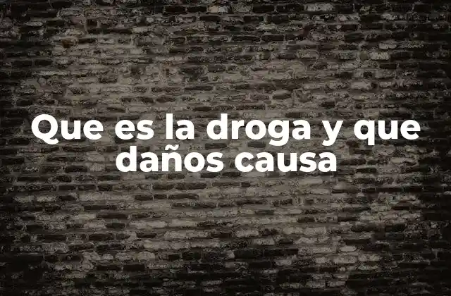 Que es la Droga y que Daños Causa