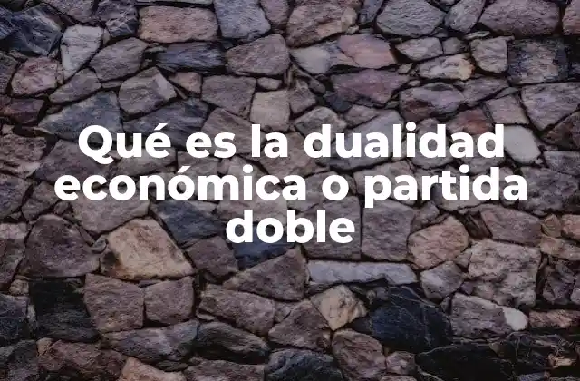Qué es la Dualidad Económica o Partida Doble