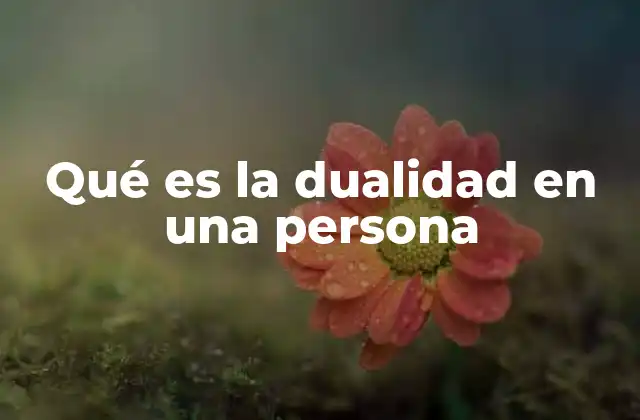 Qué es la Dualidad en una Persona