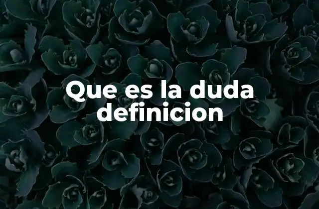 Que es la Duda Definicion