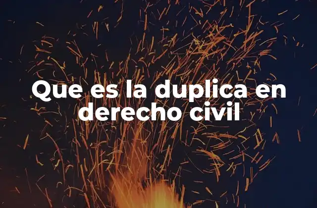 Que es la Duplica en Derecho Civil