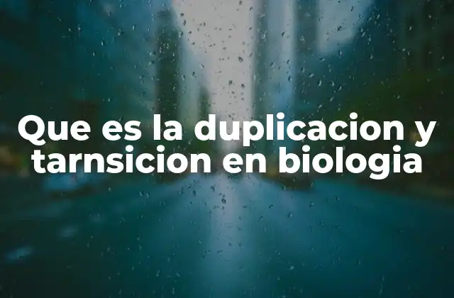 Que es la Duplicacion y Tarnsicion en Biologia 2 El papel de la replicación y transcripción en la biología celular