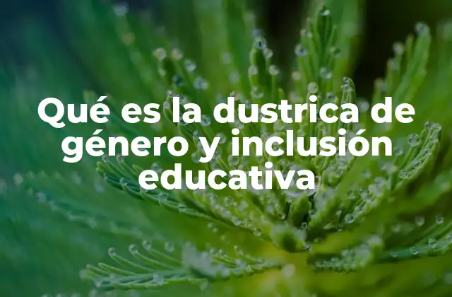 Qué es la Dustrica de Género y Inclusión Educativa