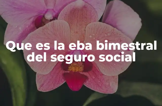 La importancia de revisar la EBA bimestral del Seguro Social
