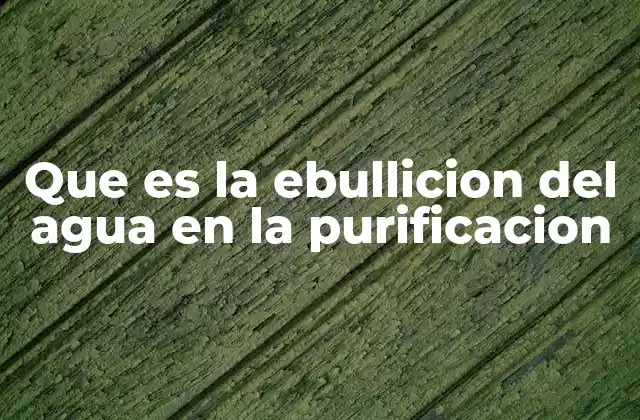 Que es la Ebullicion Del Agua en la Purificacion