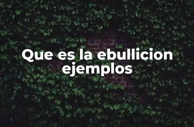 Que es la Ebullicion Ejemplos