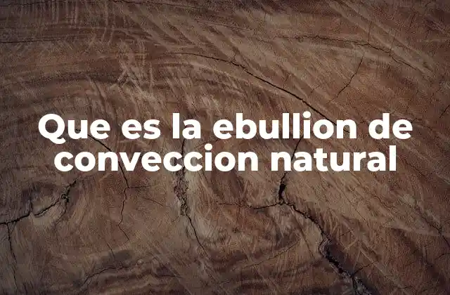 Que es la Ebullion de Conveccion Natural