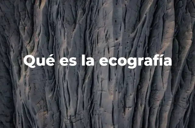 Qué es la Ecografía