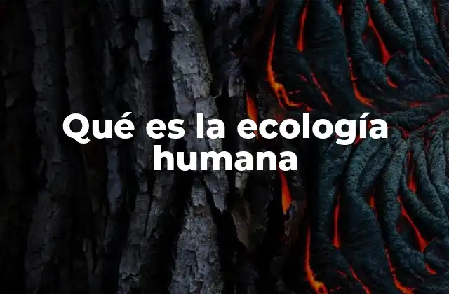 La interacción entre el ser humano y el entorno natural